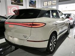 بي واي دي سيليون 06 DM-i